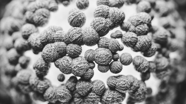 Was sind Exosome? Funktion, Forschung & Therapie